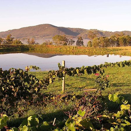 Pokolbin Farm Stay Екстериор снимка