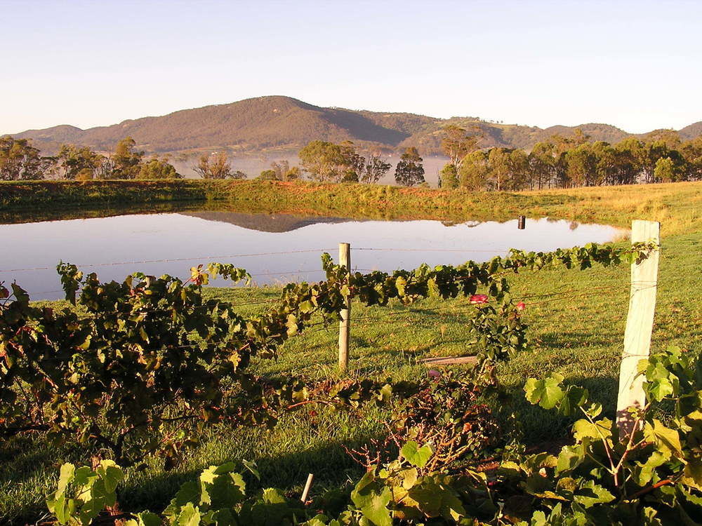 Pokolbin Farm Stay Екстериор снимка